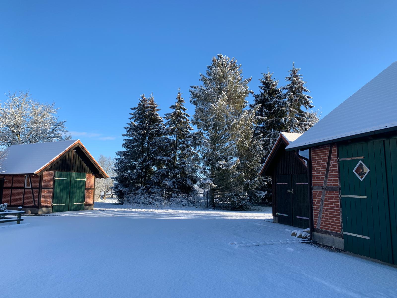 Grundstück im Winter