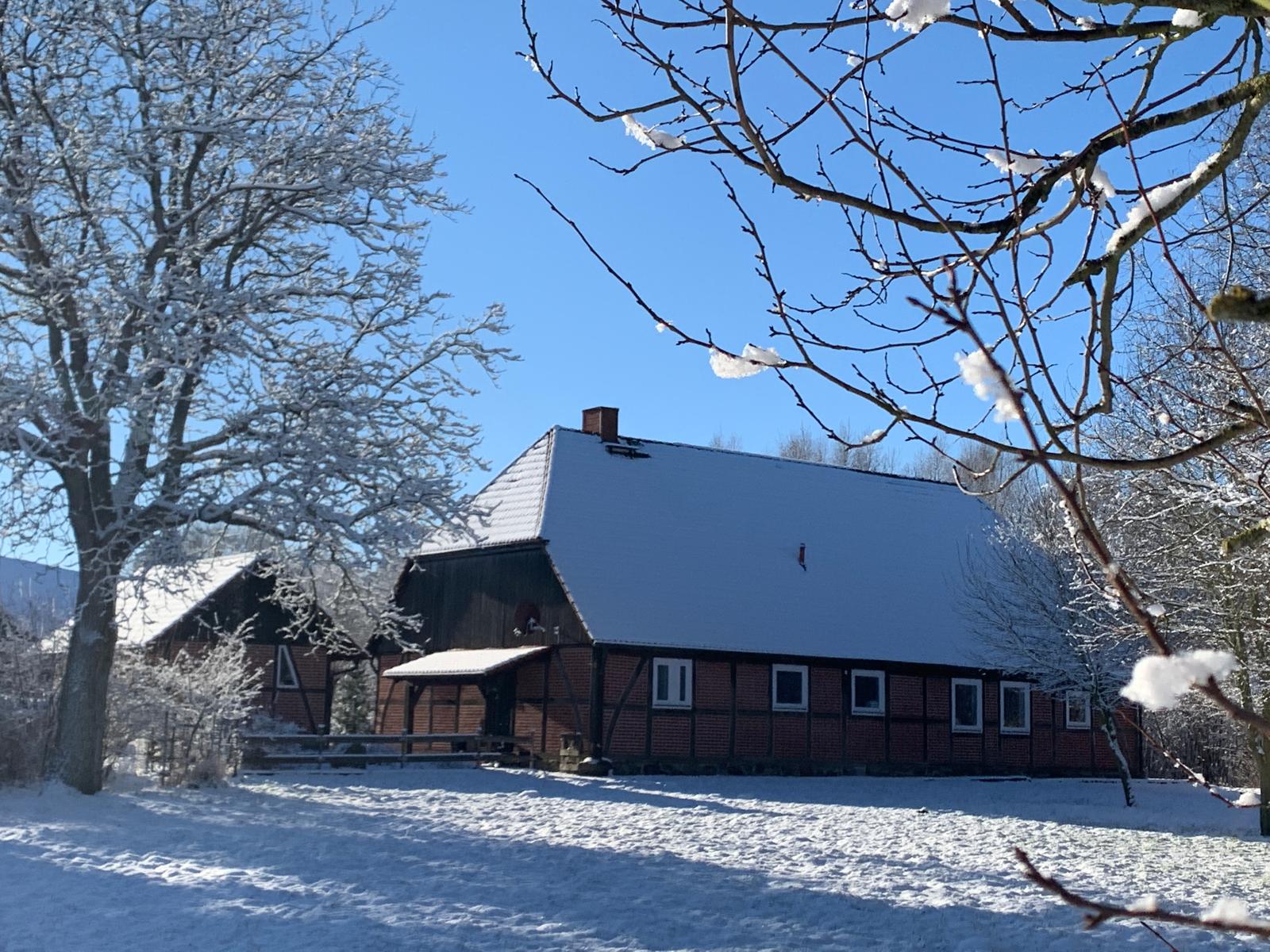 Rückansicht im Winter