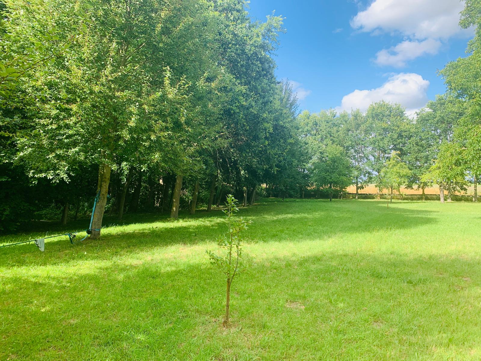 Hinterer Grundstücksteil