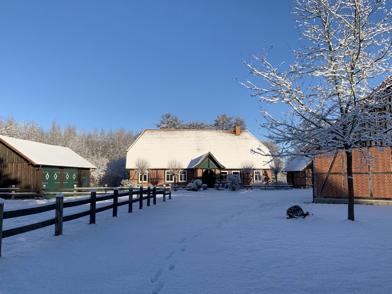 Frontansicht im Winter